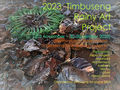 Timbuseng Art Project 2023
